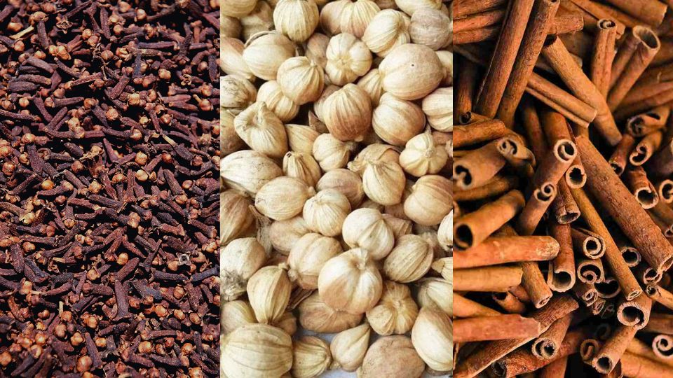Blog Illustration: Why Indonesian Cinnamon, Nutmeg, and Cloves Lead the Global Spice Trade - ISS Blog